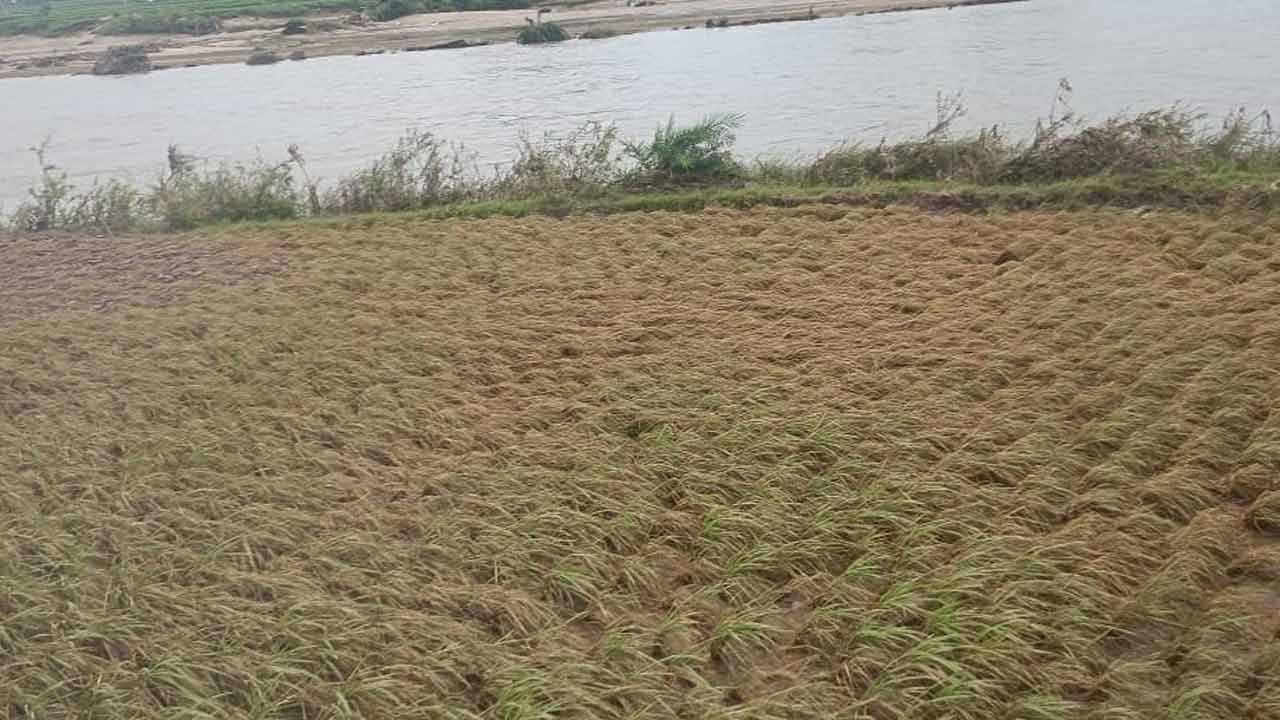 దెబ్బతిన్న రోడ్లు.. నీట మునిగిన పొలాలు