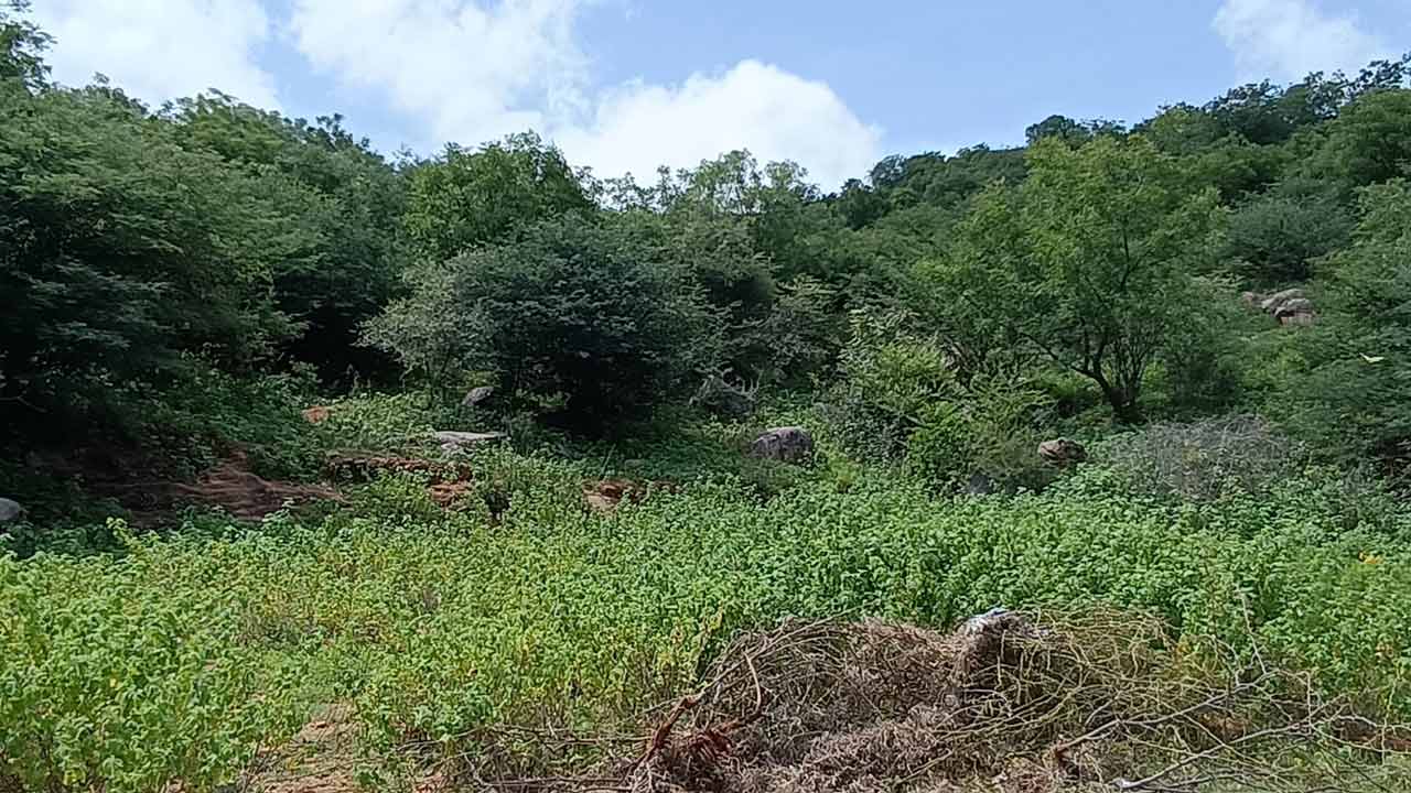 మల్టీపర్పస్‌ స్పోర్ట్స్‌ స్టేడియం ఏమాయె..?