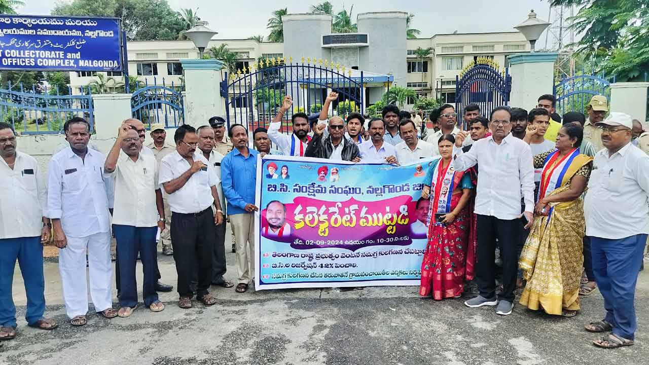 బీసీ కుల గణన చేపట్టాలి
