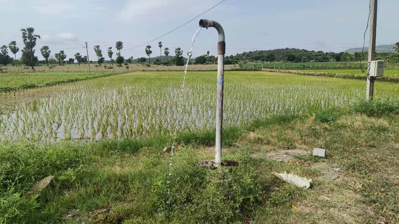 రాష్ట్ర వ్యాప్తంగా అతివృష్టి.. సంస్థాన్‌లో అనావృష్టి