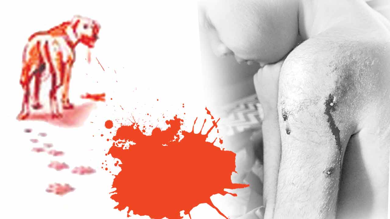 పాపం పసికందు