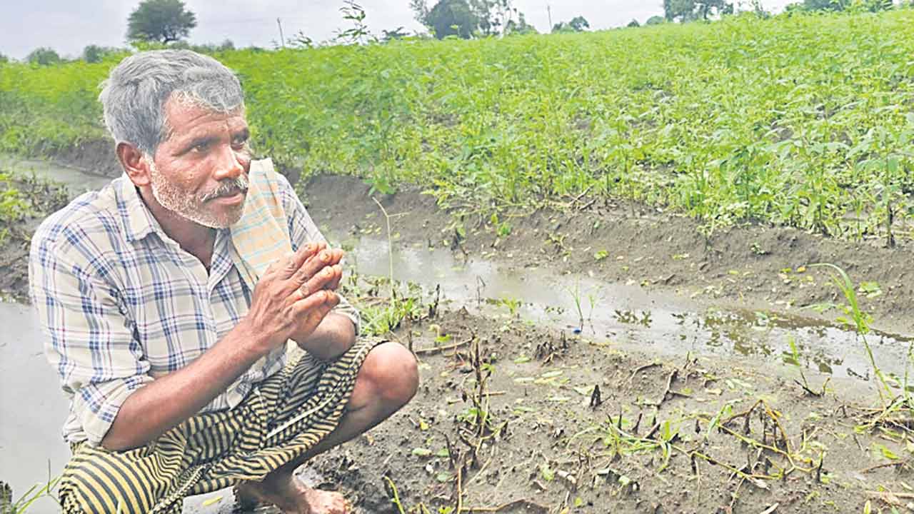 వికారాబాద్‌ జిల్లాలో…