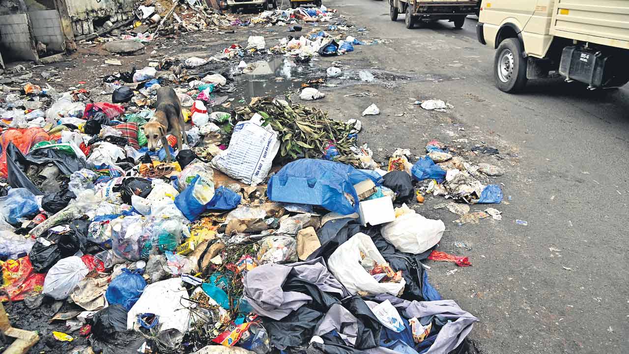 GHMC | స్వచ్చసిటి ప్రశ్నార్థకం.. గ్రేటర్‌లో జటిలంగా మారిన చెత్త సమస్య