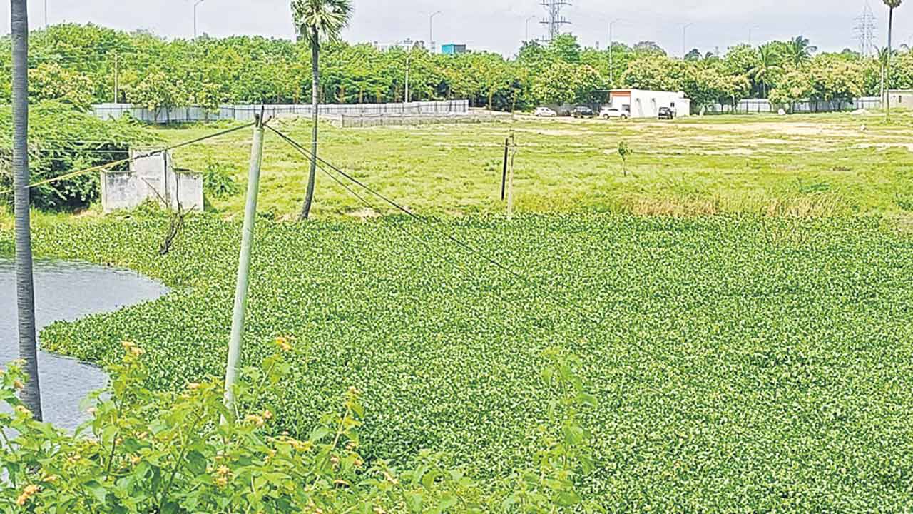 చెరువును పూడ్చి.. నిర్మాణాలు!