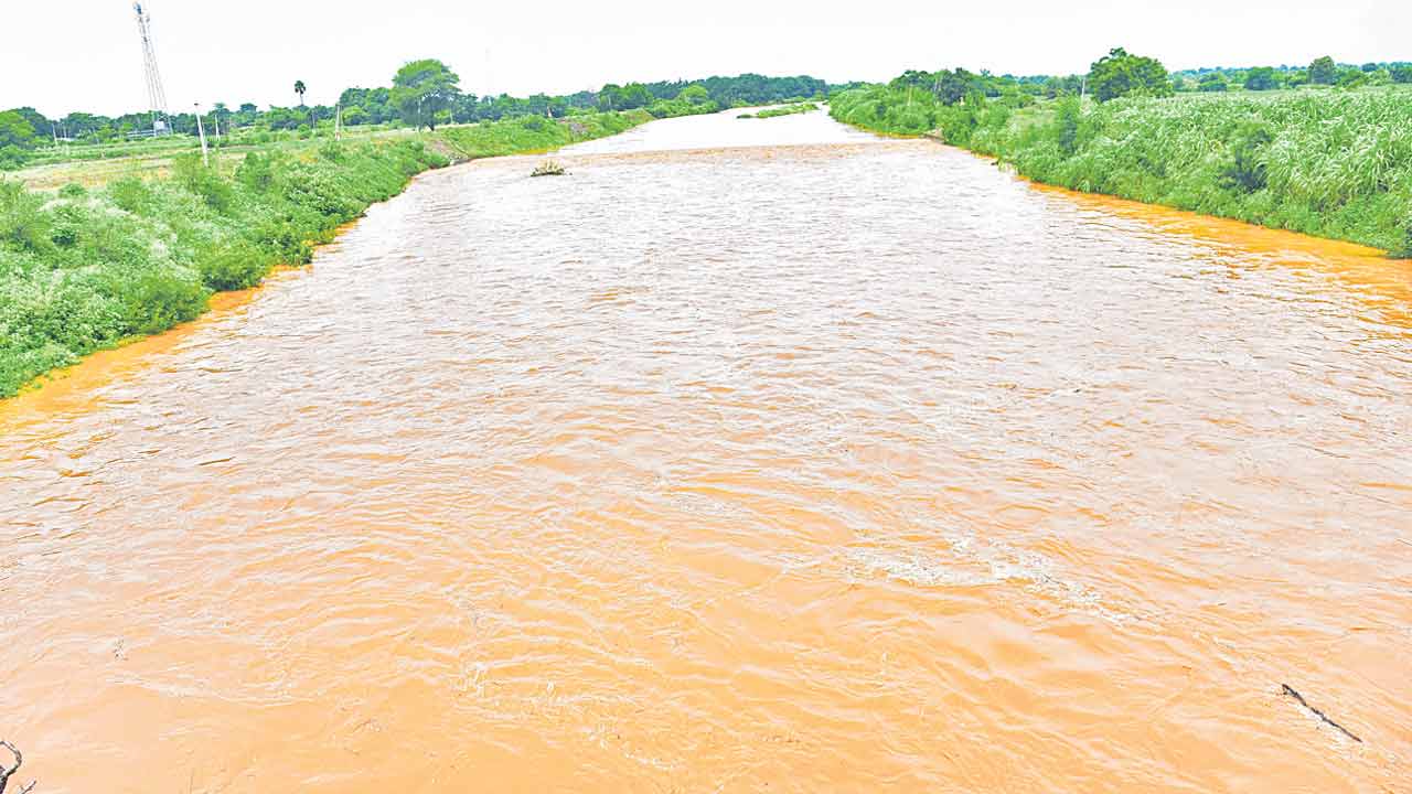 దంచికొట్టింది..