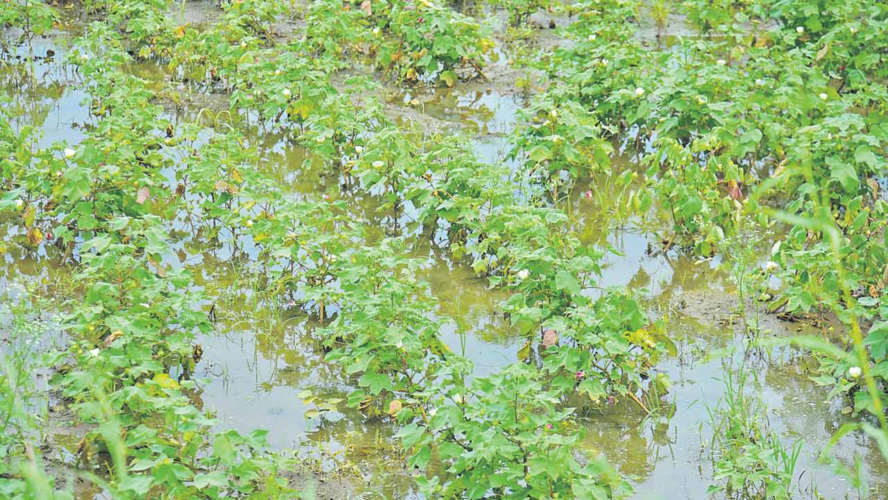 వర్షం..టెన్షన్‌