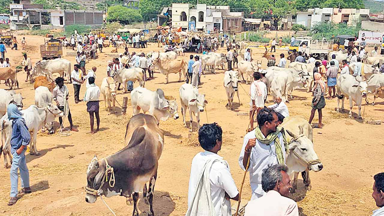 అద్దె జాగలో అవస్థలు
