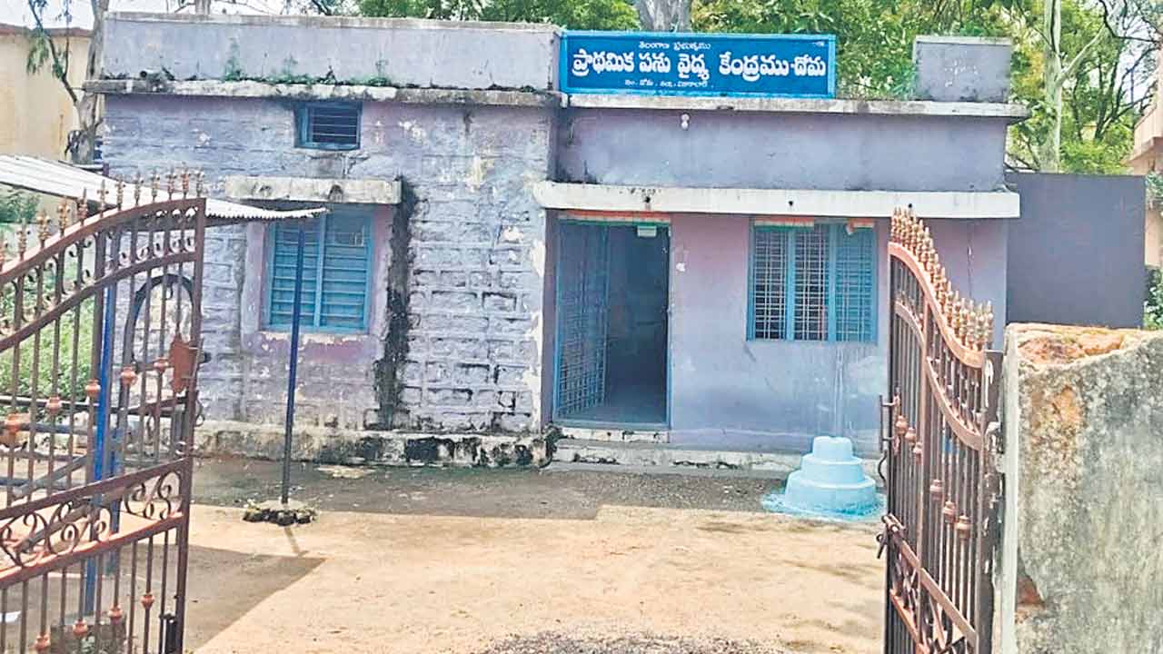 Vikarabad | సీఎం సొంత జిల్లాలో.. మూగ జీవాలకూ మందుల్లేవ్..