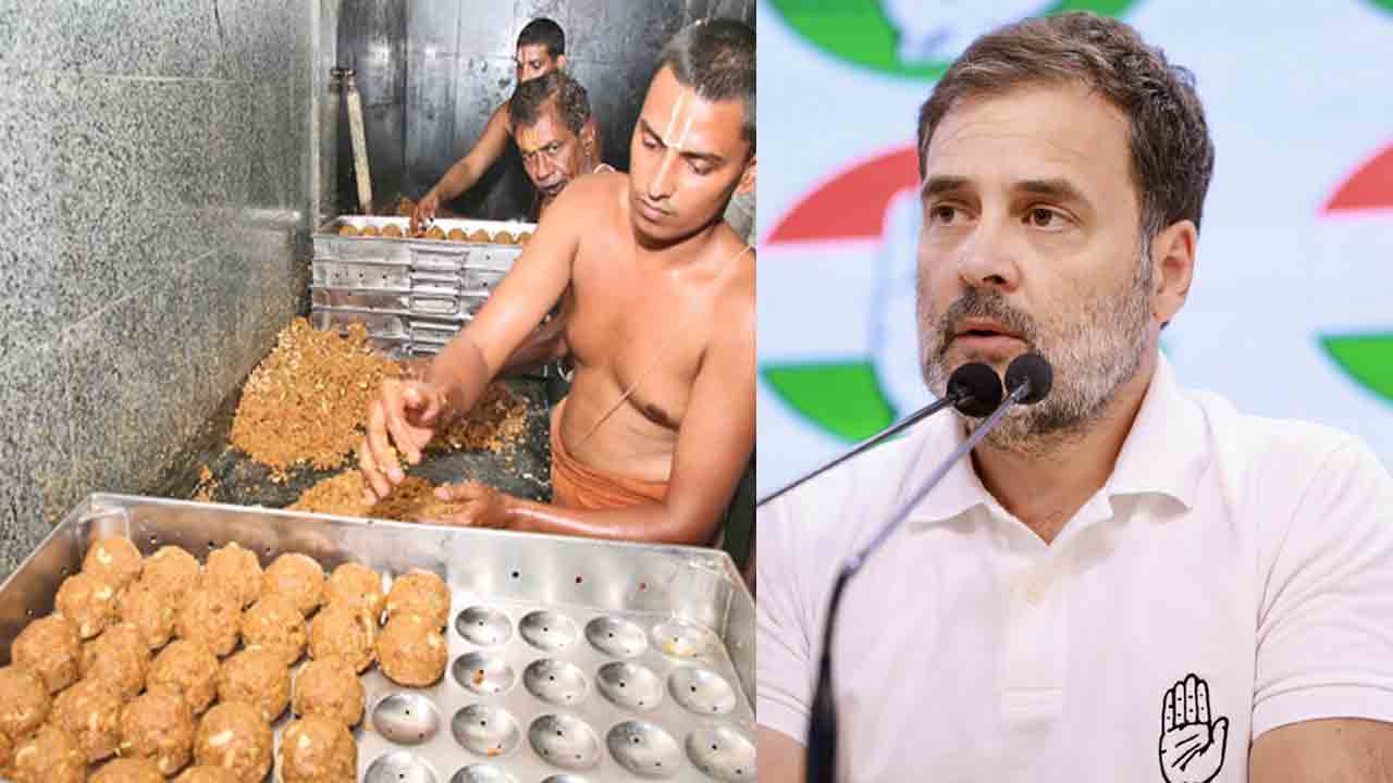 Rahul Gandhi | తిరుమల లడ్డూ కల్తీ వ్యవహారంపై స్పందించిన రాహుల్‌ గాంధీ.. ఏమన్నారంటే?