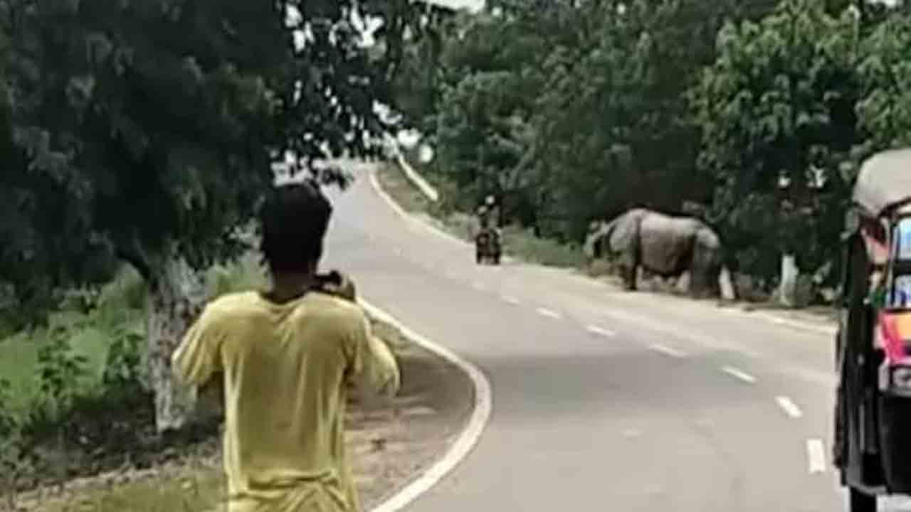 Rhino | బైకర్‌ను వెంబడించి దాడి చేసిన ఖడ్గమృగం.. షాకింగ్‌ వీడియో