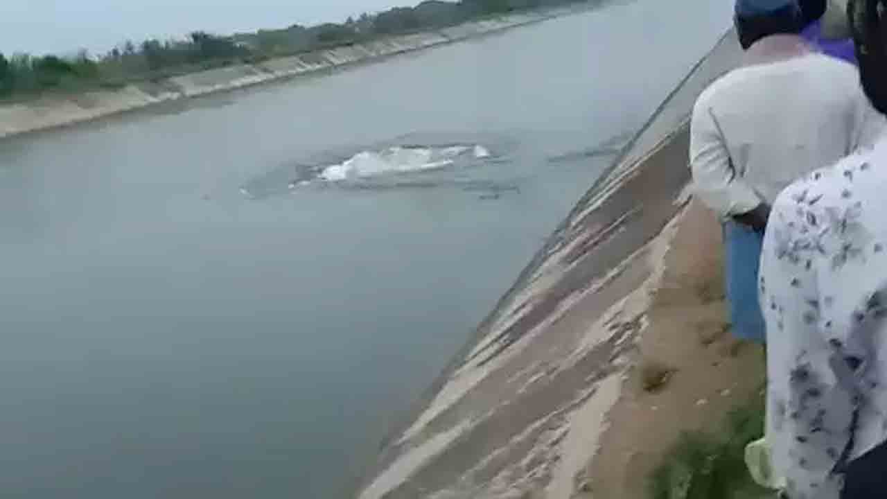 Nagarjuna Sagar | సూర్యాపేటలో సాగర్‌ ఎడమ కాలువకు గండి..