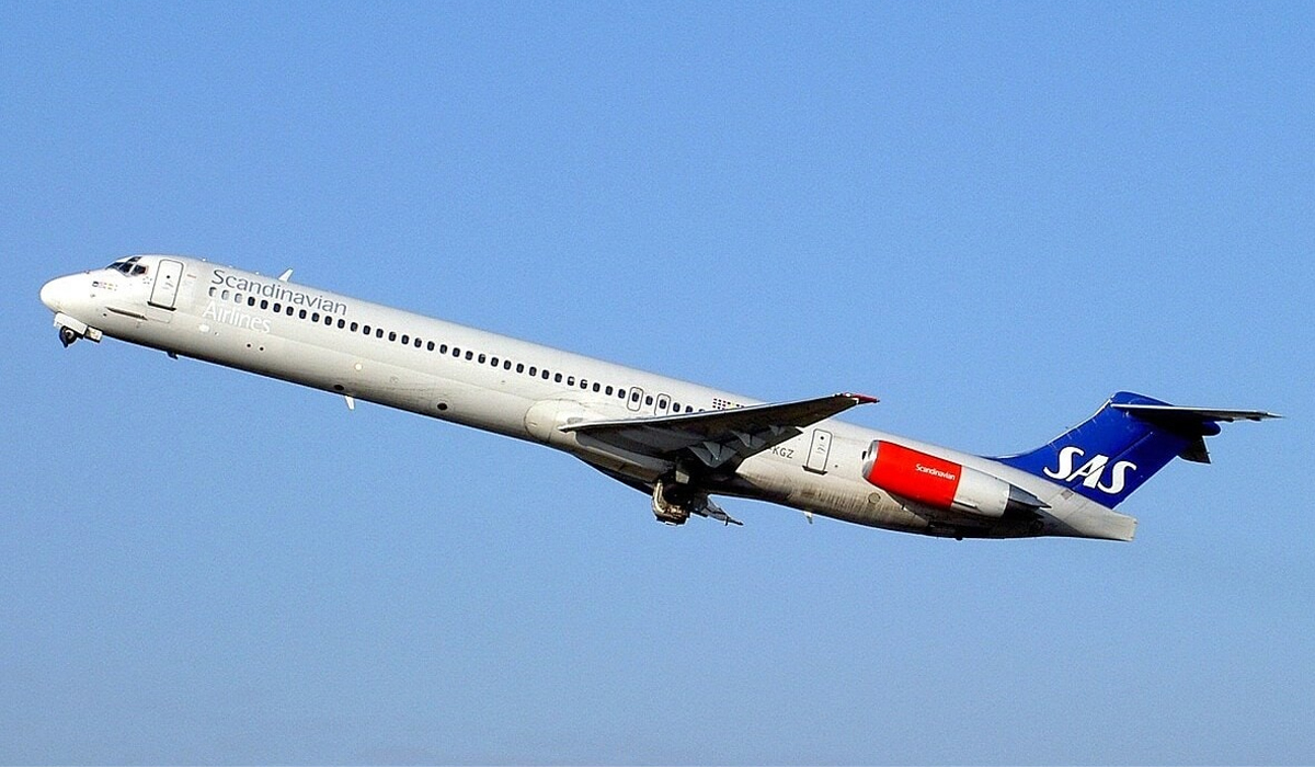 RAT in flight | భోజనం ప్యాకెట్లో చిట్టెలుక.. విమానం అత్యవసర ల్యాండింగ్..!