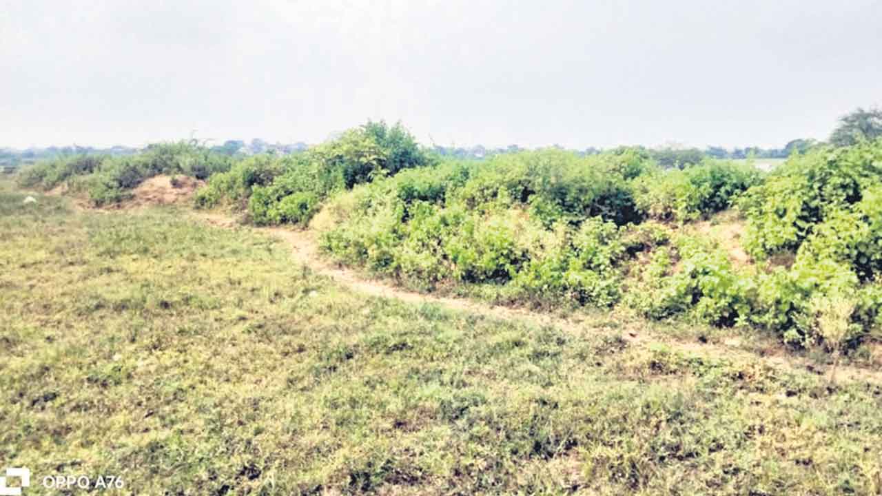 Shanigakunta, Pond 2