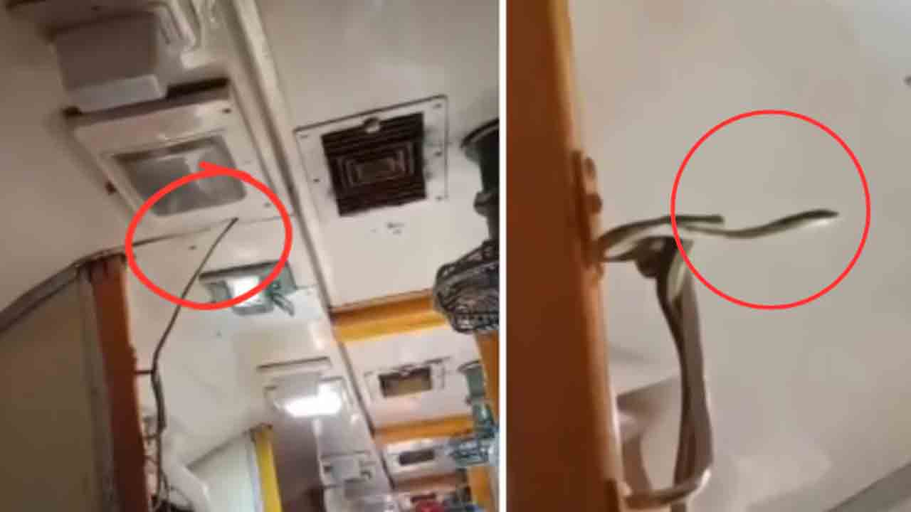 Snake | రన్నింగ్‌ ట్రైన్‌లో పాము ప్రత్యక్షం.. భయంతో వణికిపోయిన ప్రయాణికులు.. వైరల్‌ వీడియో