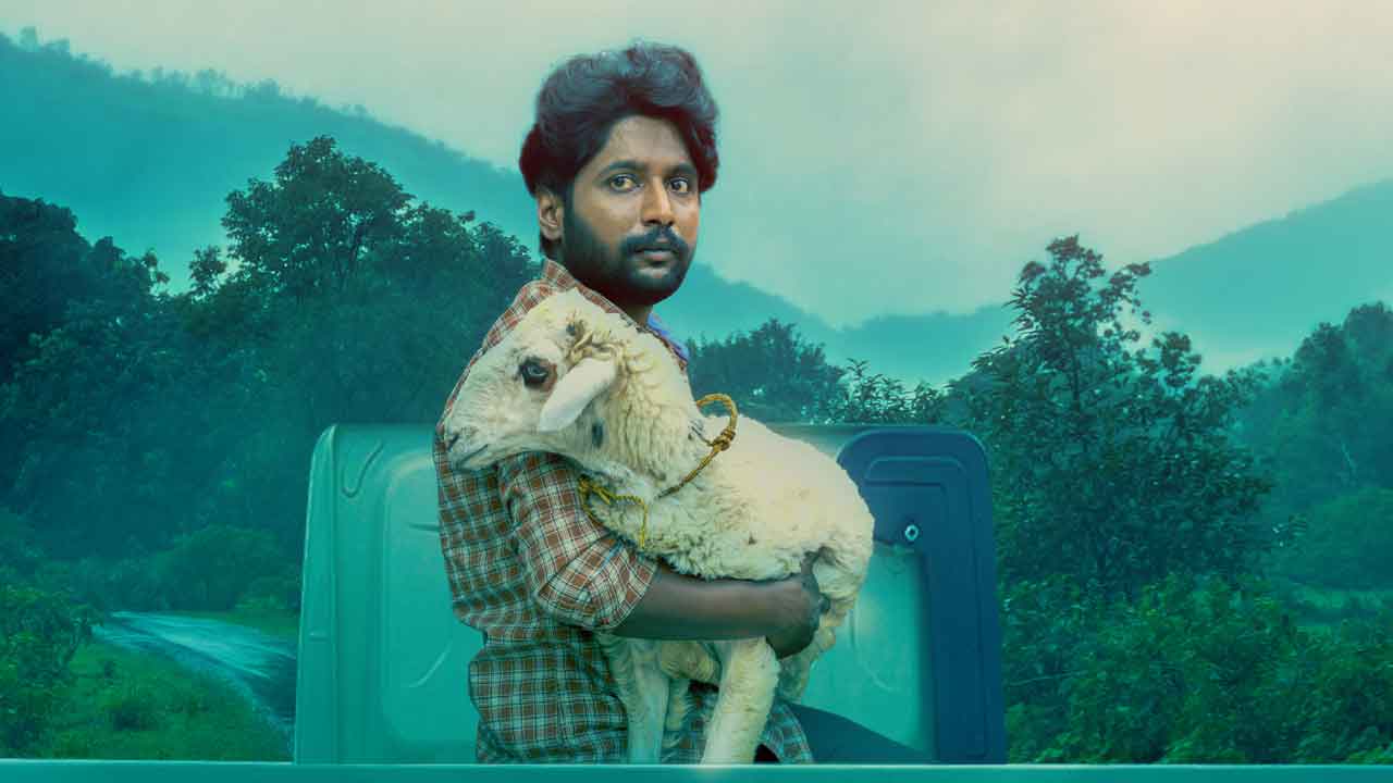 మనిషి ఆకలి.. గొర్రె ఆత్మరక్షణ