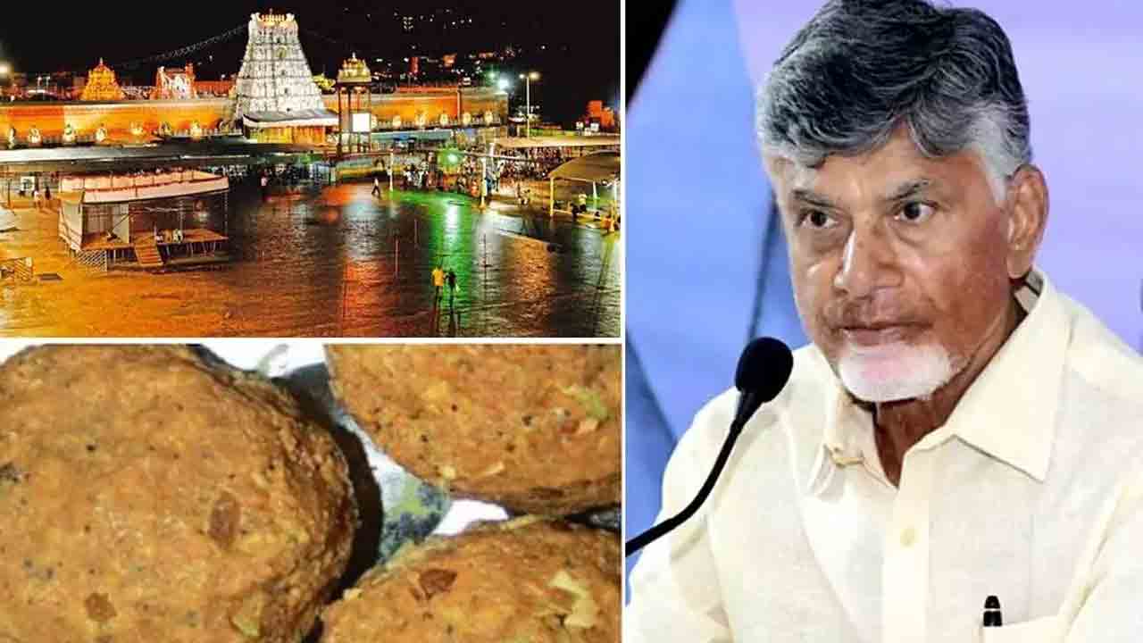 Chandrababu | శ్రీవారికి నైవేద్యం పెట్టే లడ్డూ తయారీలో రివర్స్ టెండర్లేంటి : ఏపీ సీఎం చంద్రబాబు