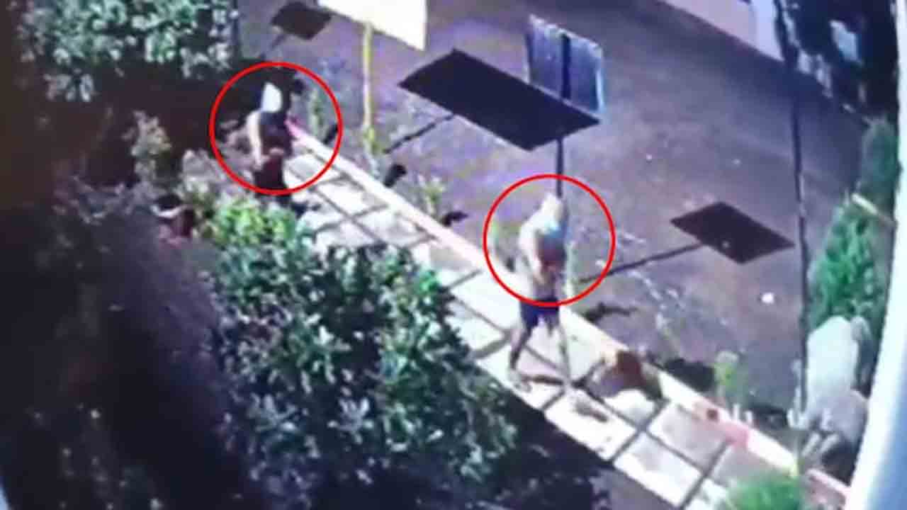 Underwear Gang | నాసిక్‌లో చెడ్డీ గ్యాంగ్‌ హల్‌చల్‌.. 70 గ్రాముల బంగారం, అరటిపళ్లు చోరీ