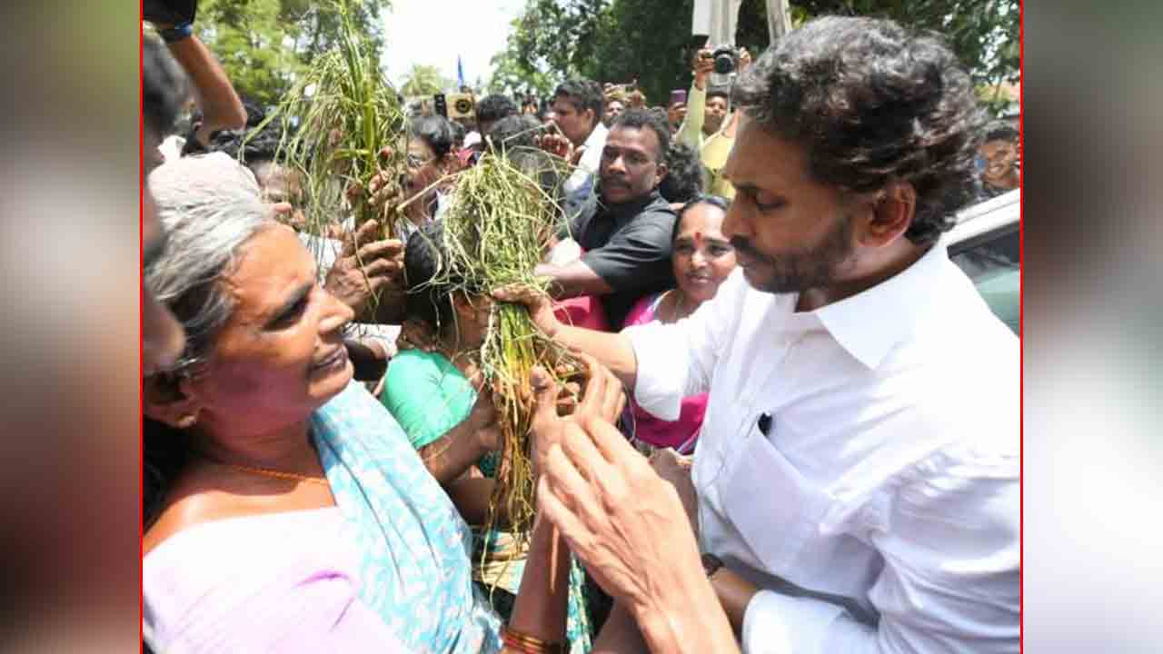 YS Jagan | పవన్‌కల్యాణ్‌ సినిమా ఆర్టిస్టు.. చంద్రబాబు డ్రామా ఆర్టిస్ట్‌ : వైఎస్‌ జగన్‌ ఎద్దేవా