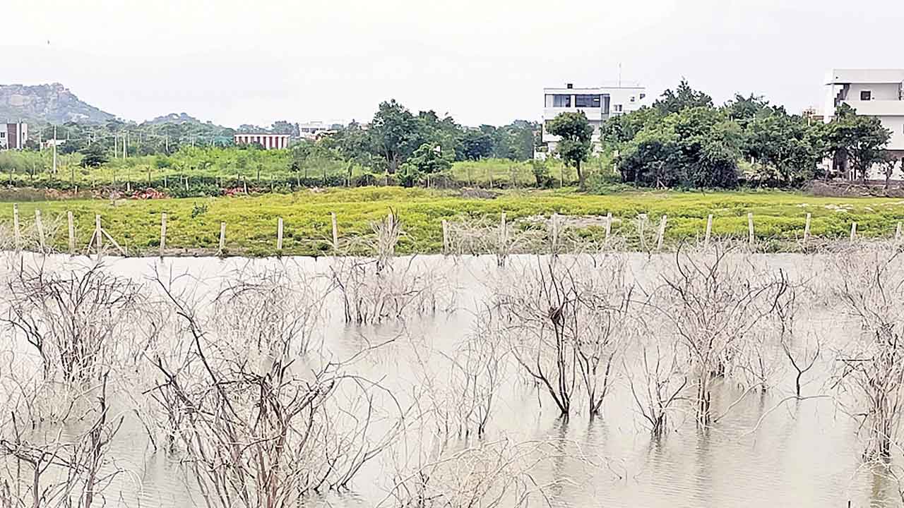 అలీ చెరువుపై హైడ్రామా