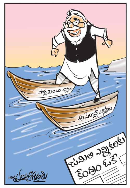 డైలీ కార్టూన్ 20-09-2024