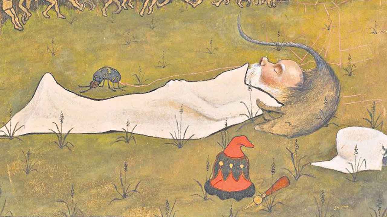 శరీరం విలువ