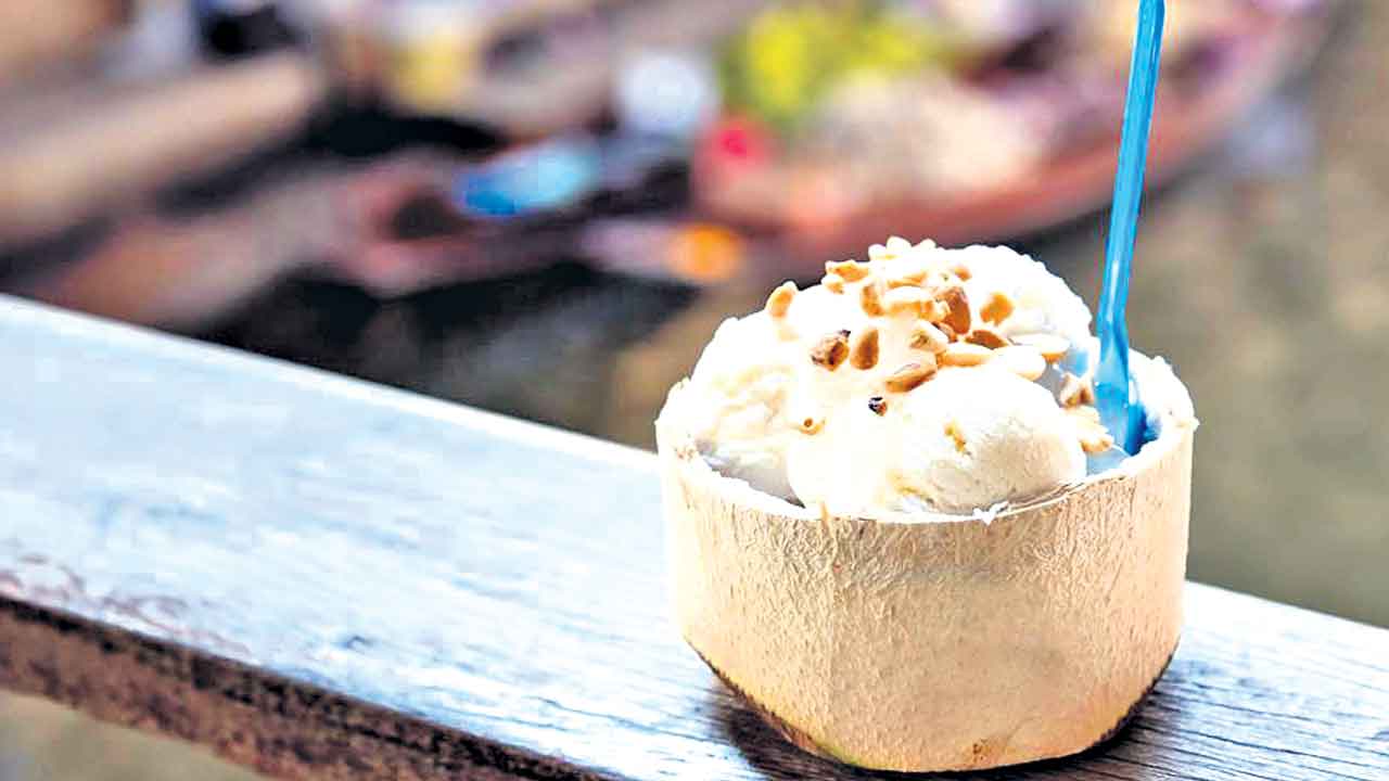 Coconut Ice Cream 2