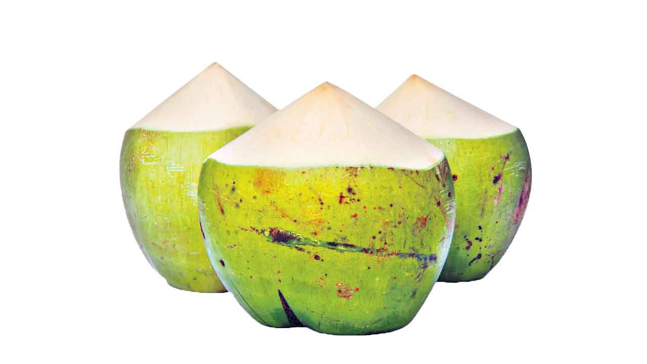 Coconut