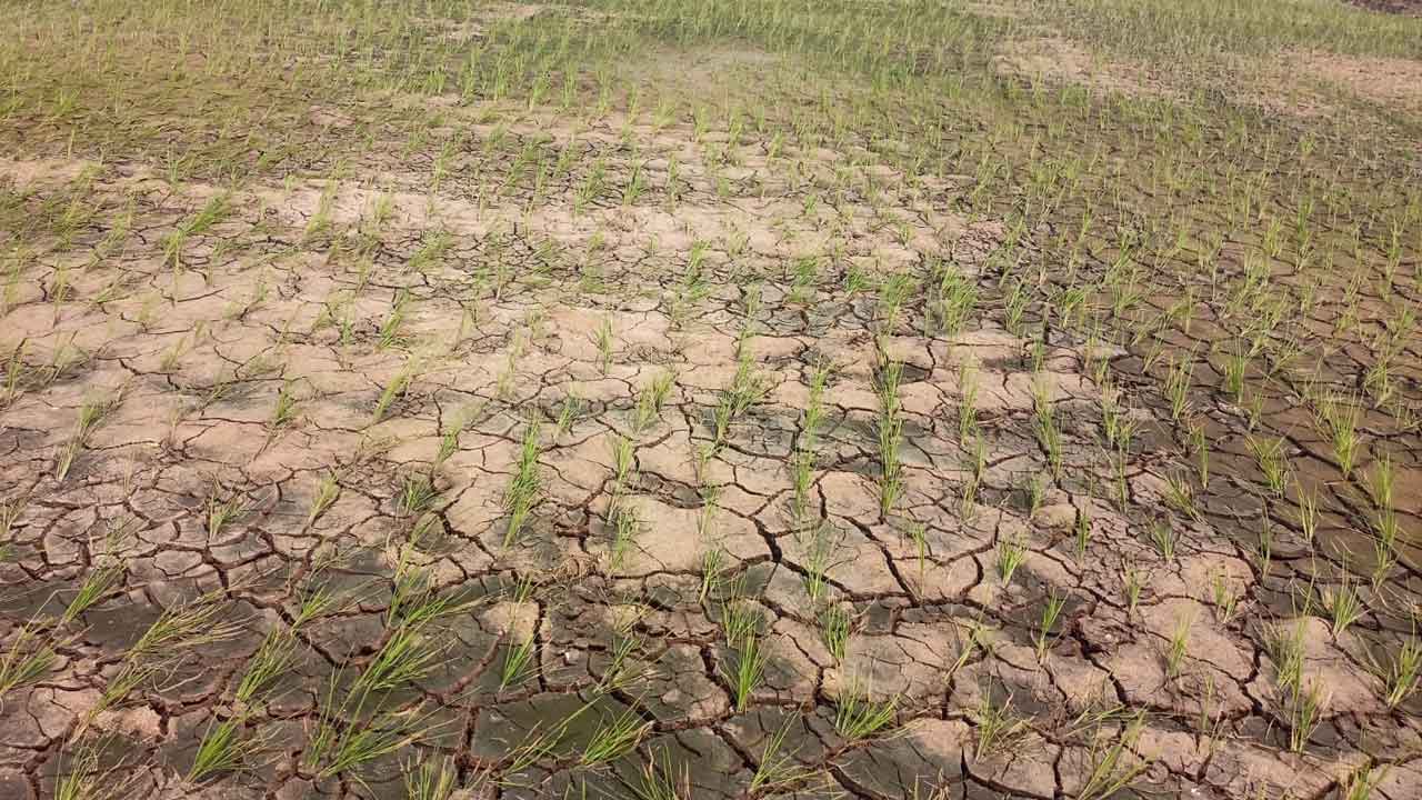 అన్నదాత ఆశలకు ‘గండి’