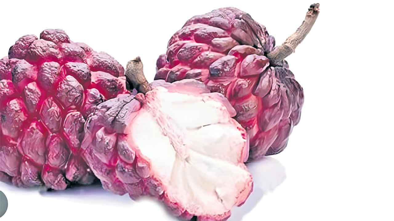 Custard Apple 4