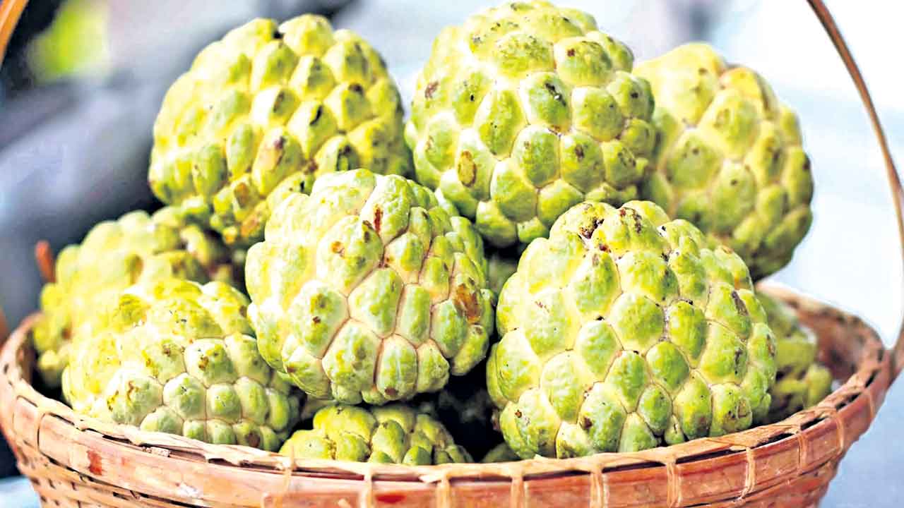 Custard Apple 5