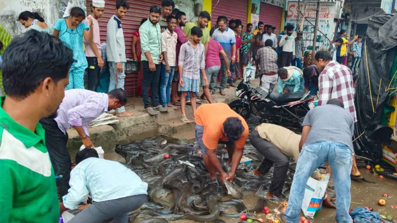 Fish van | అదుపుతప్పి బోల్తా పడిన చేపల వ్యాన్‌.. లూటీ చేసిన స్థానికులు ఎక్కడంటే?