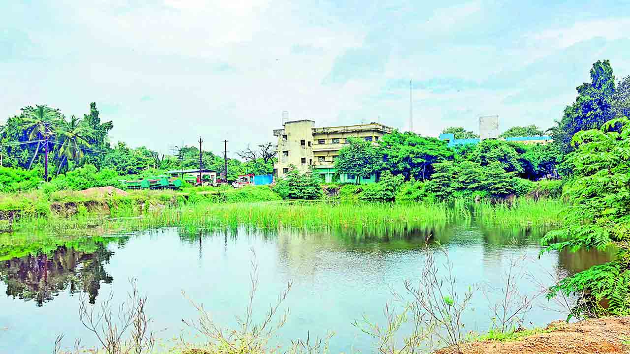 మ్యూజియంకు దారేది ?