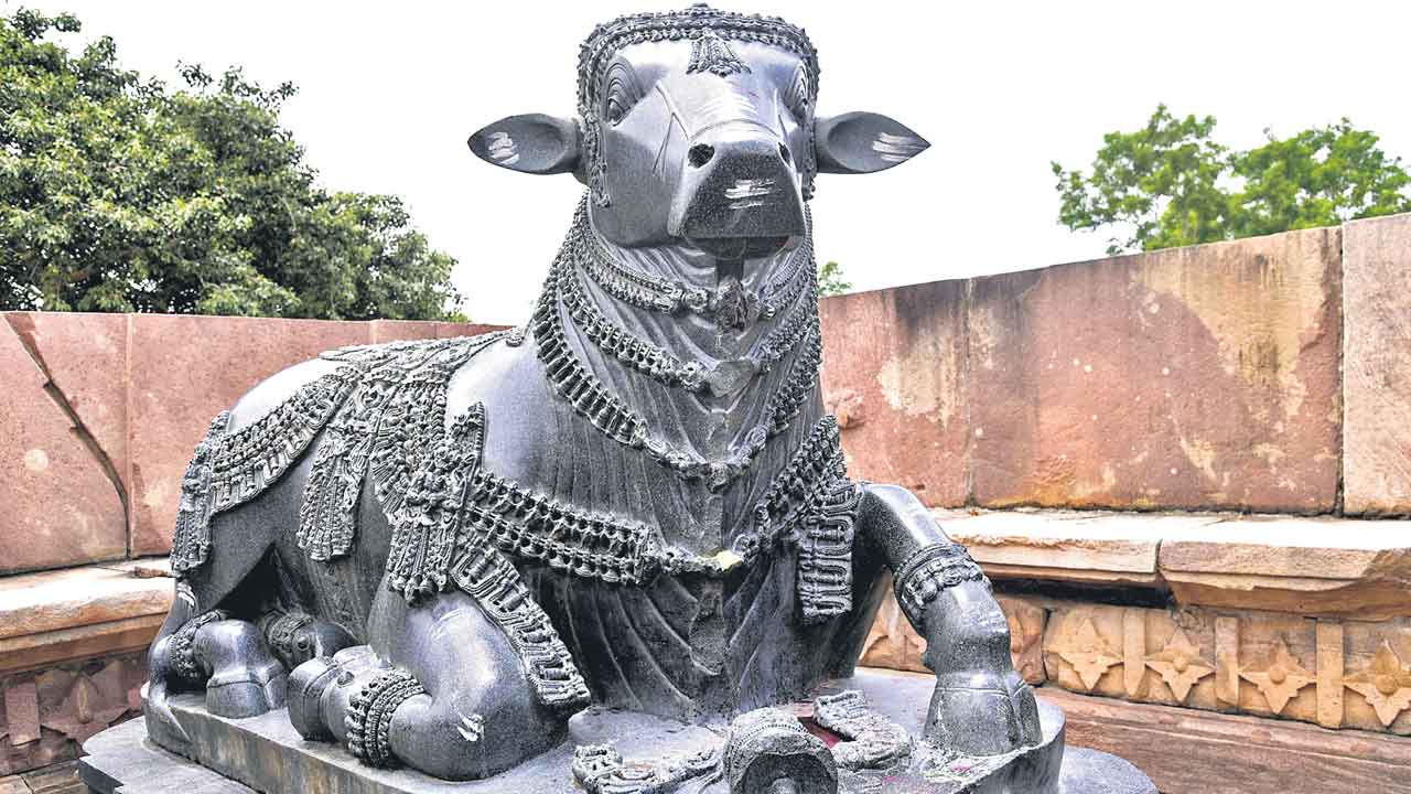 Nandi
