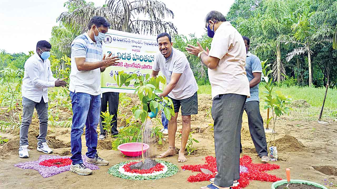 నల్లబంగారంపై ఆకుపచ్చ సంతకం