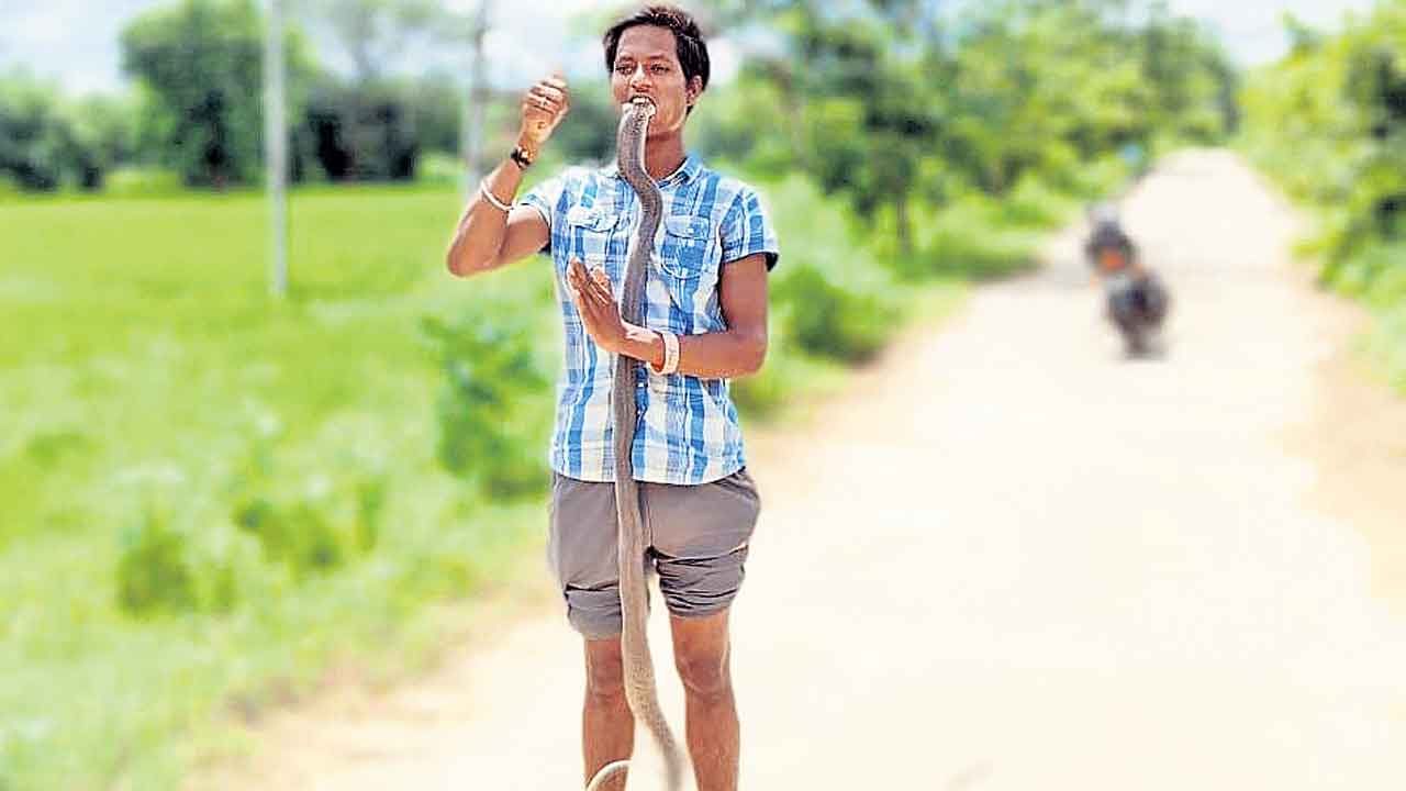Snake Catcher | సాహసం చేయబోయి.. ప్రాణాలు కోల్పోయి