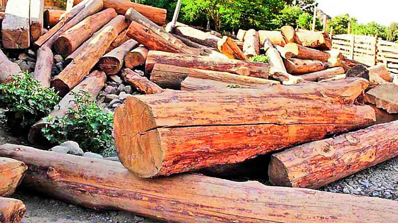 ఆన్‌లైన్‌ సిస్టం ఉన్నా ఆగని దందా