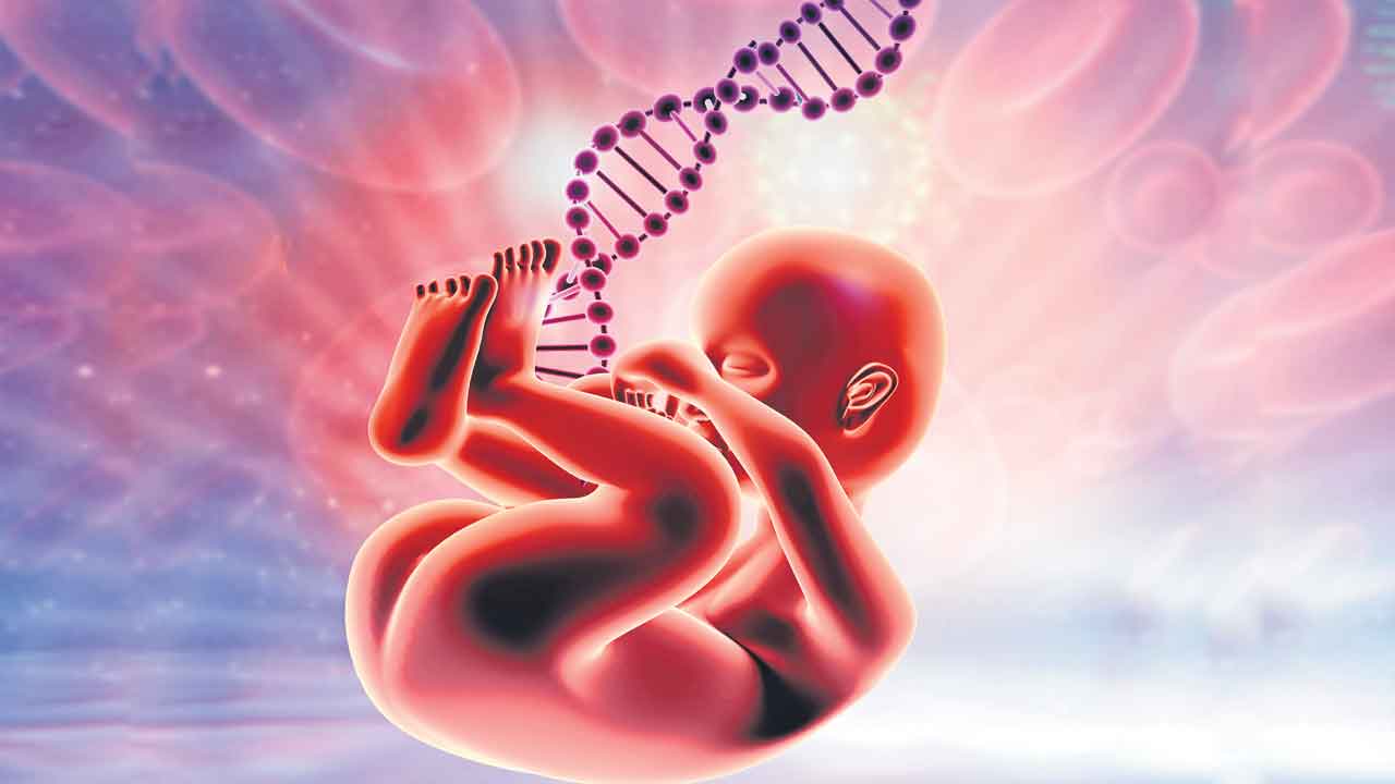 Fetal Medicine | ఫీటల్‌ మెడిసిన్‌ కవచం.. అమ్మ కడుపులోనే సంరక్షణ