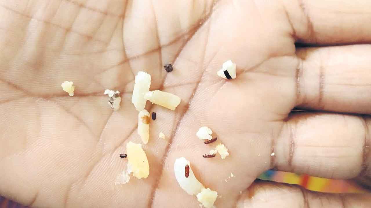 అల్పాహారంలో లక్కపురుగులు