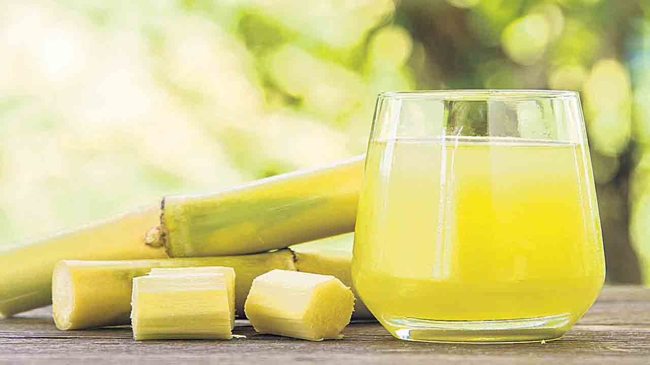 చెరకుతో చెక్‌