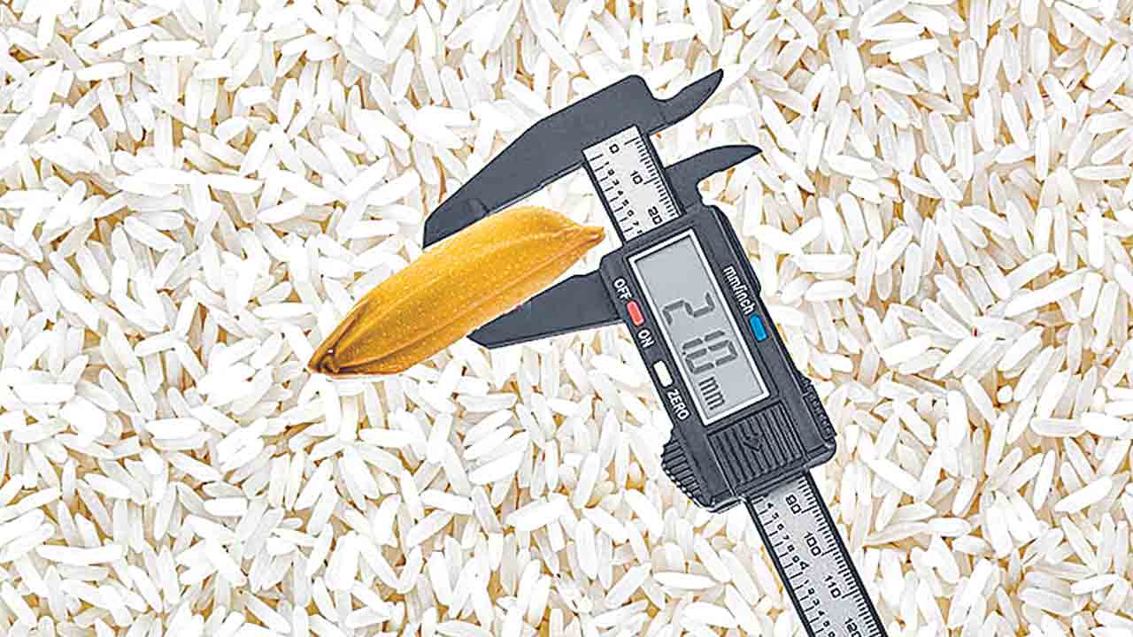 Bonus | సన్నాల బోనస్‌కు కొలతల కొర్రీ.. ఏ మాత్రం తేడా వచ్చినా కోతలే!