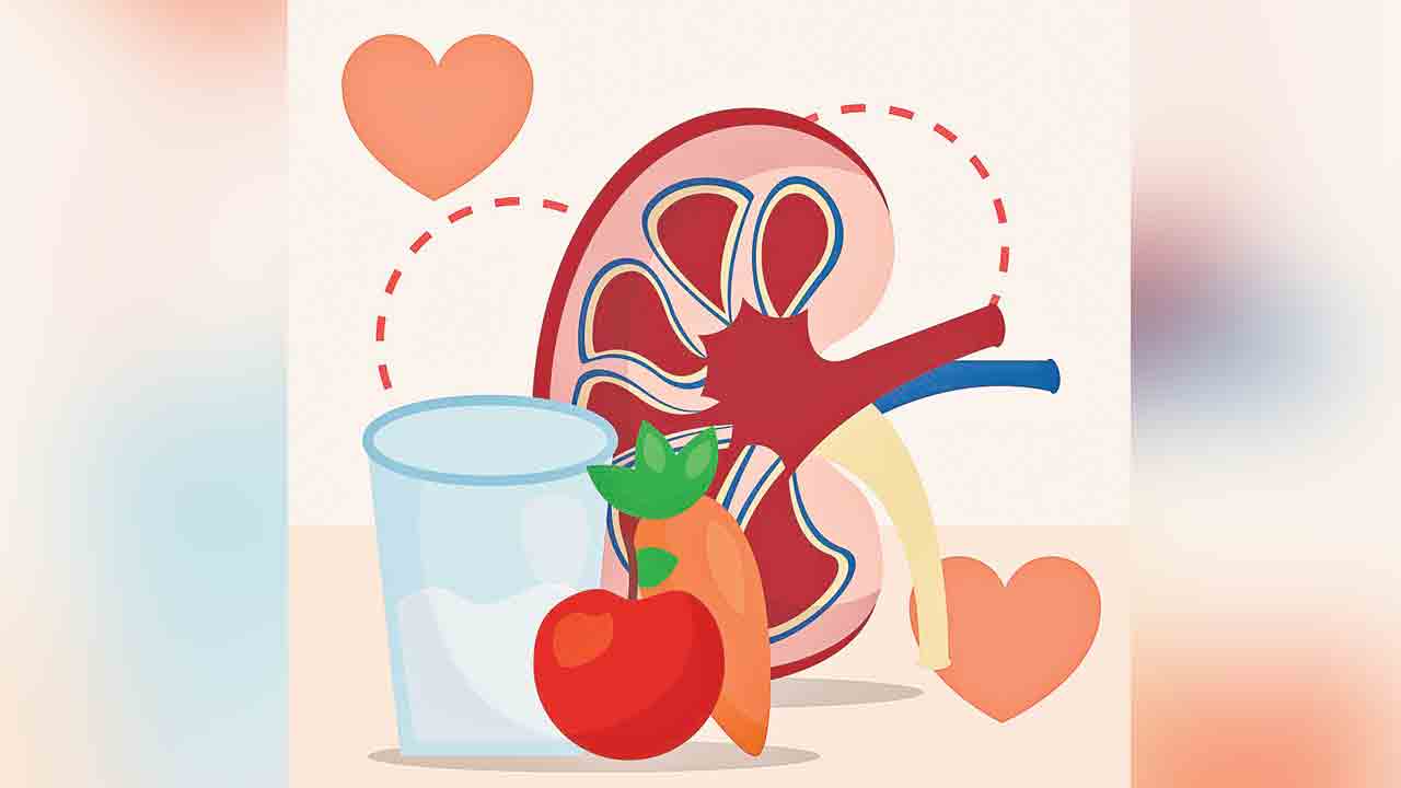 కిడ్నీలో రాళ్లు రాకుండా