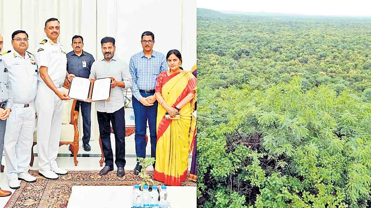 దామగుండం మాకో భావోద్వేగం