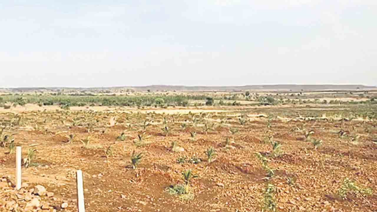 మేం చెప్పినోళ్లకే పరిశ్రమల భూములు!