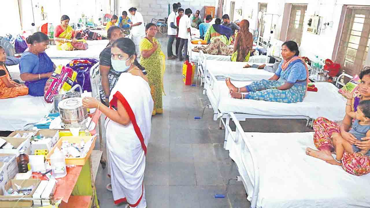 వీడని విషజ్వరాలు