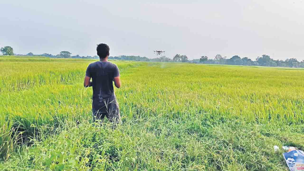 ‘సన్న’గిల్లుతున్న ఆశలు