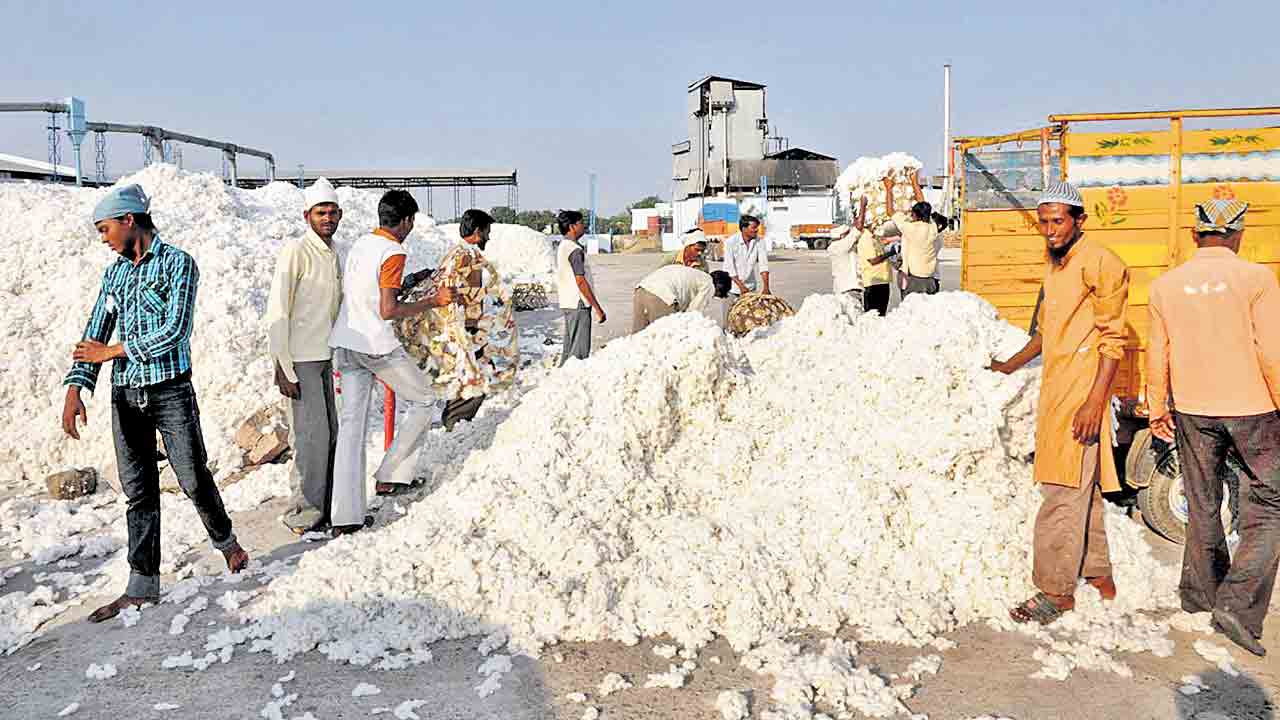 Aadhar Card | ఆధార్‌ ఉంటేనే పత్తి కొనుగోలు.. ‘నమస్తే తెలంగాణ’ కథనంపై మార్కెటింగ్‌ శాఖ వివరణ