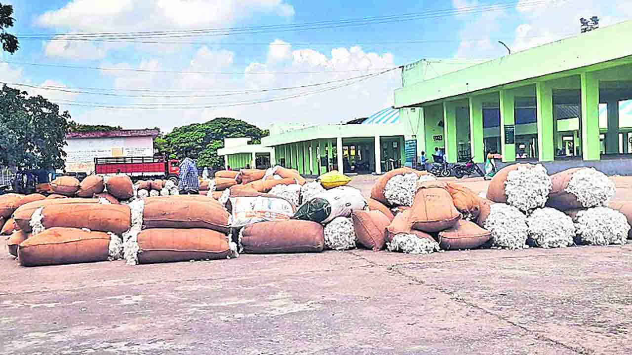 పడిపోతున్న పత్తి ధర