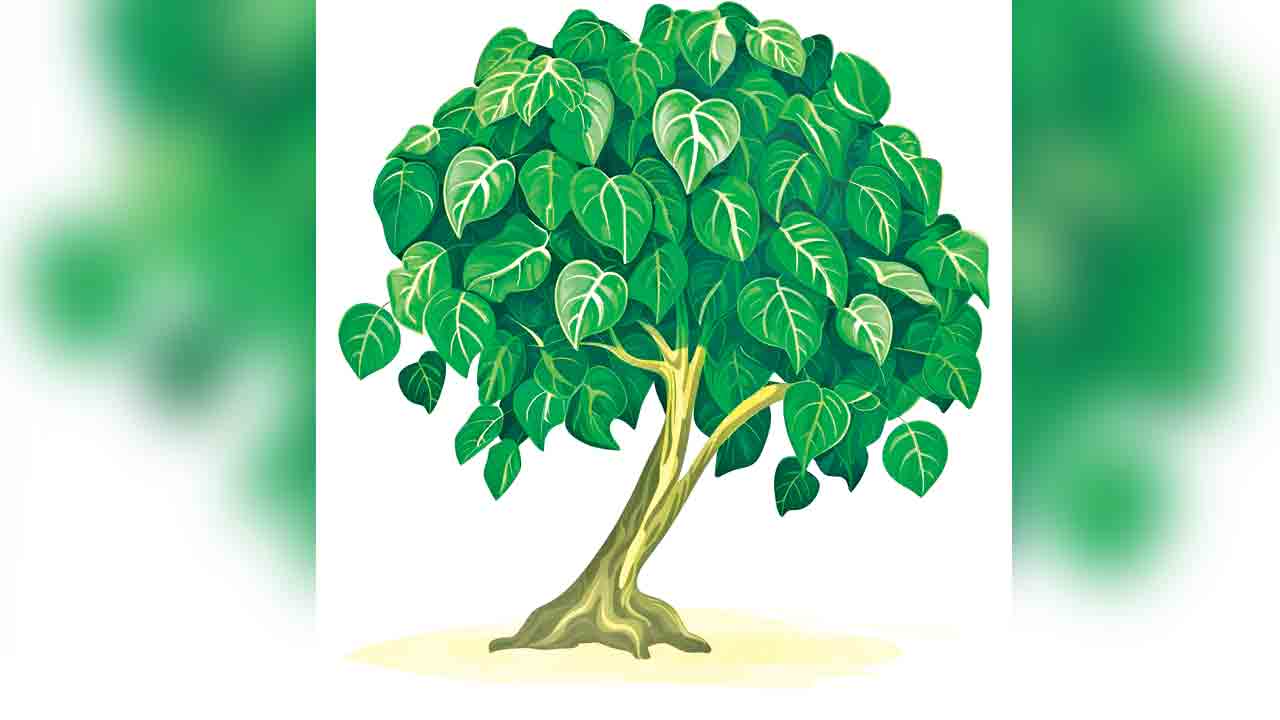 పీవీ స్మృతి వనమాలిక