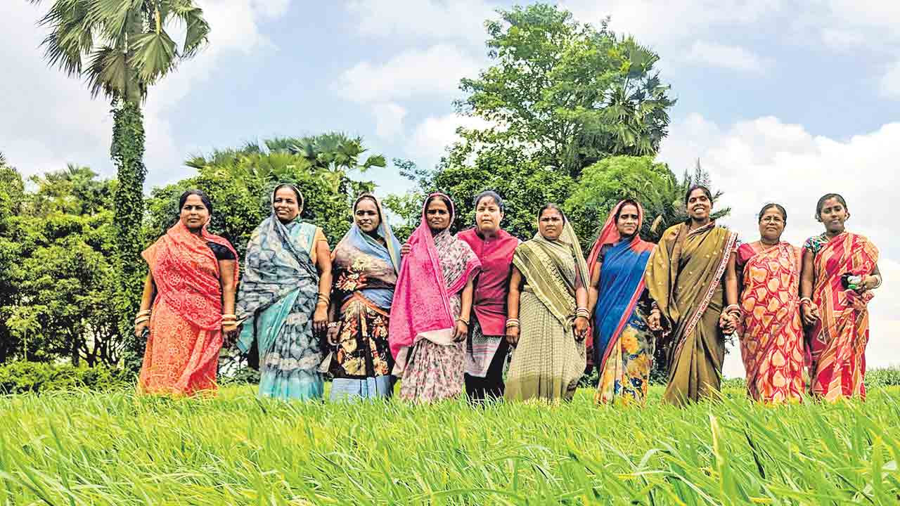 గ్రామీణ మహిళలే పట్టుగొమ్మలు!