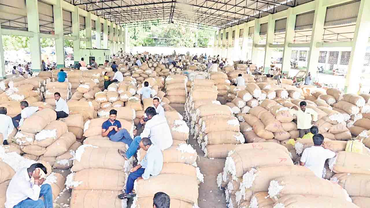 Telangana | తెల్లబోయిన పత్తి రైతు.. మార్కెట్‌లో దక్కని కనీస మద్దతు ధర